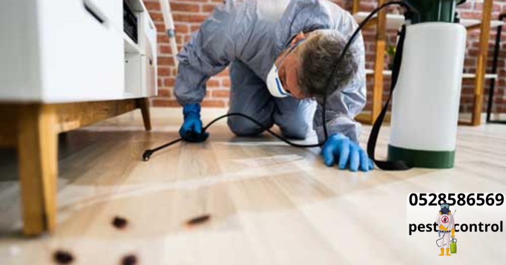Pest Control Services in Sharjah