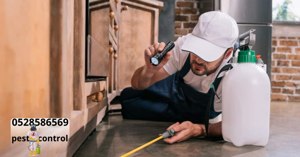 Pest Control Services in Sharjah