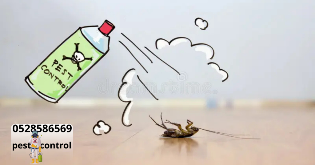 Pest control in Abu Dhabi