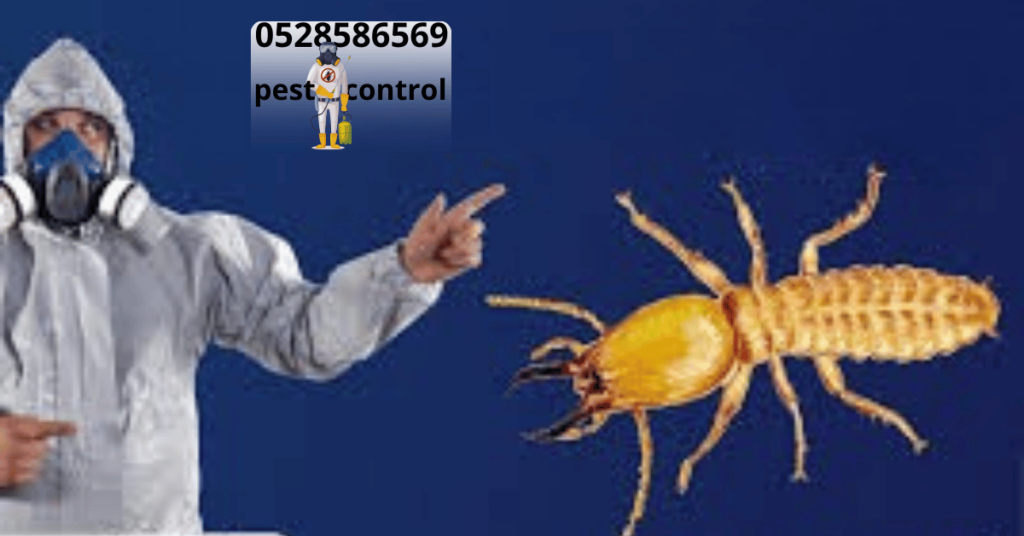 شركة مكافحة الرمى