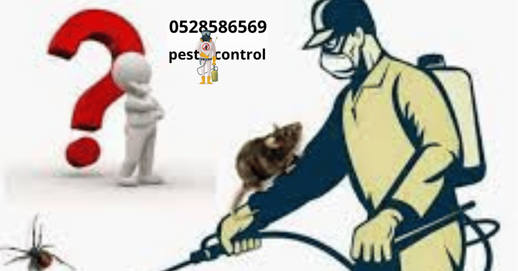 best pest control in dubai 