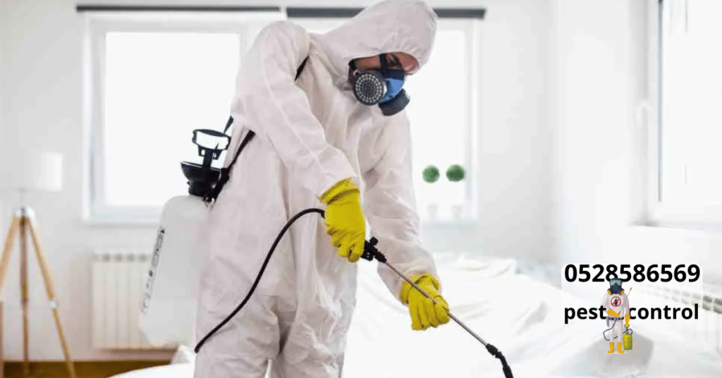 Pest control in Abu Dhabi