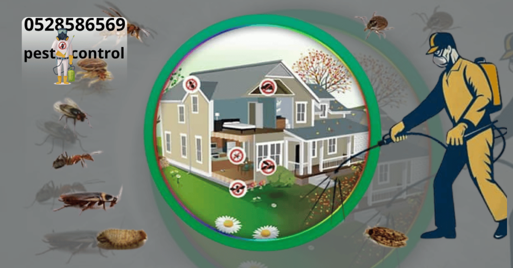 pest control abu dhabi