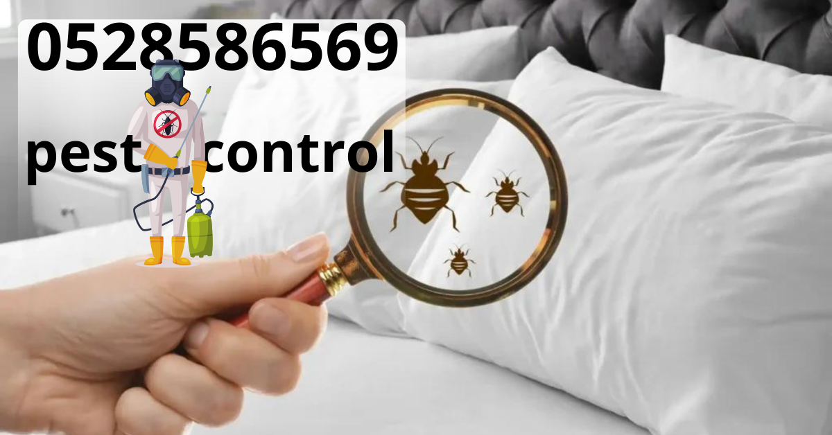 شركة مكافحة حشرات في الشارقة