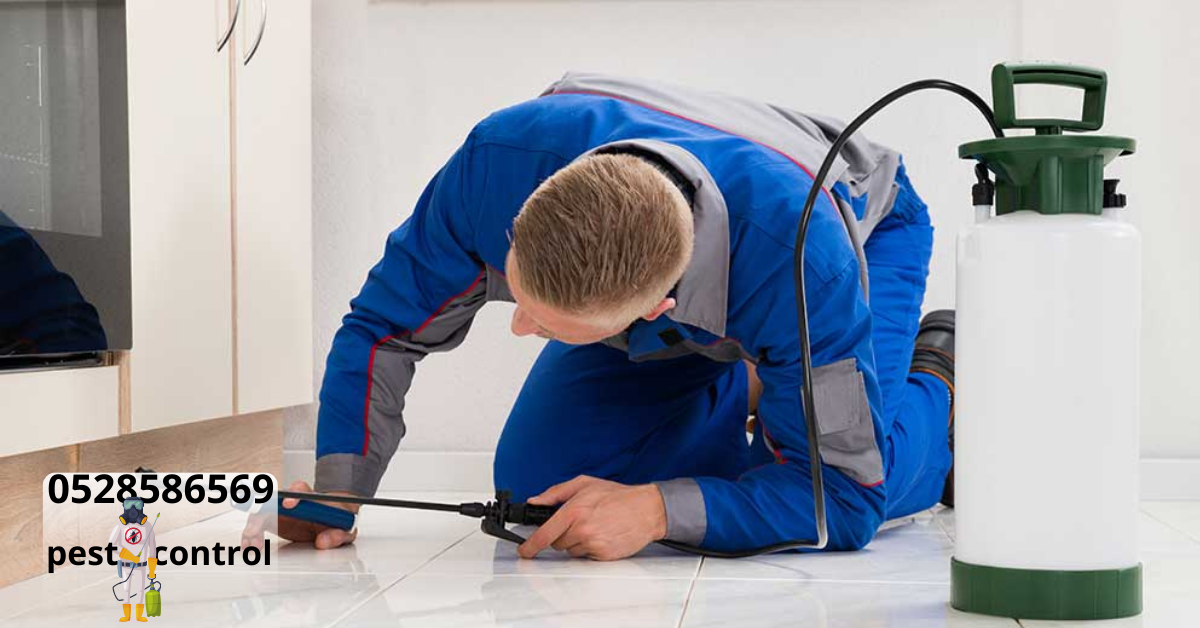 Cockroach Control Company in Sharjah