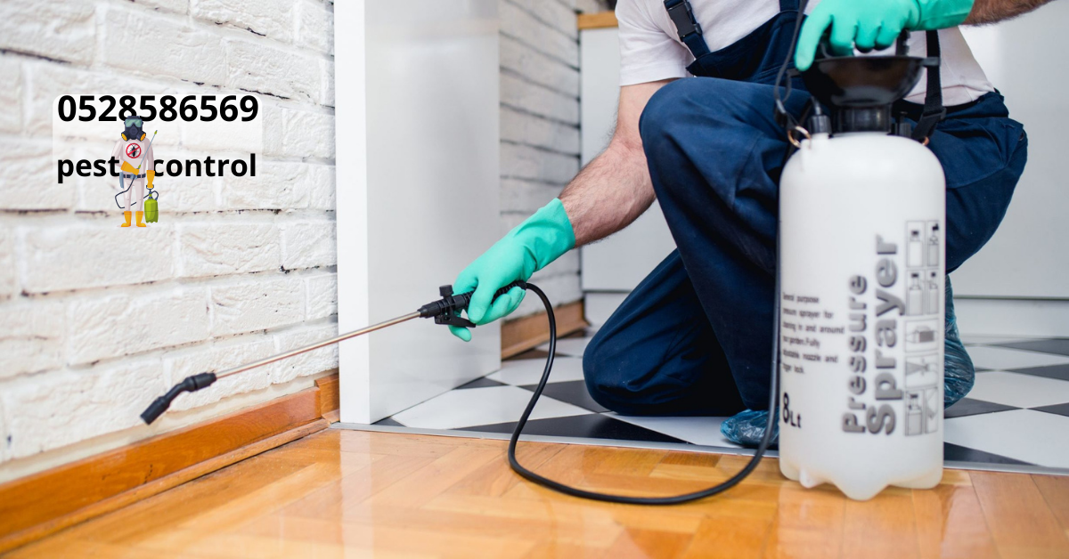 cockroach pest control