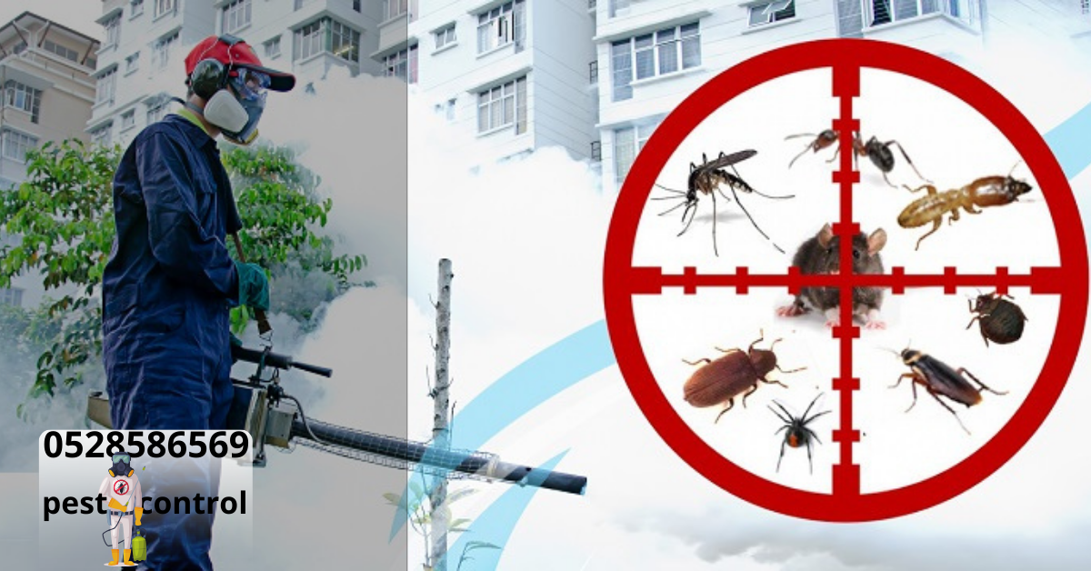 Pest Control in Dubai