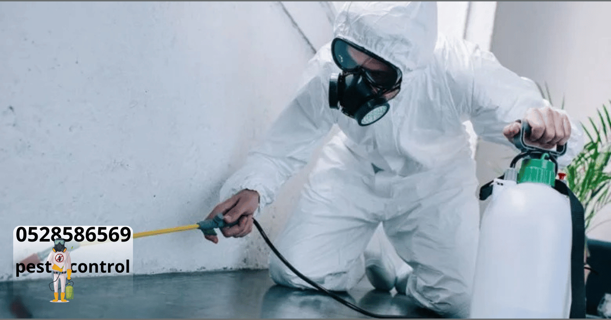 Pest Control in the UAE