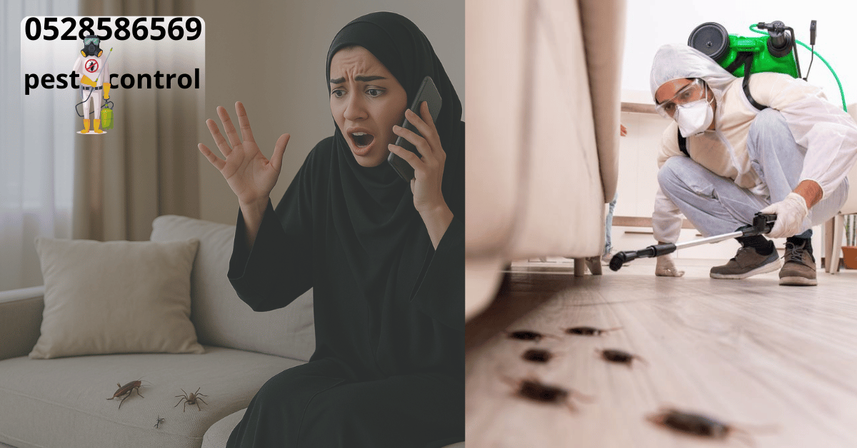 home pest control