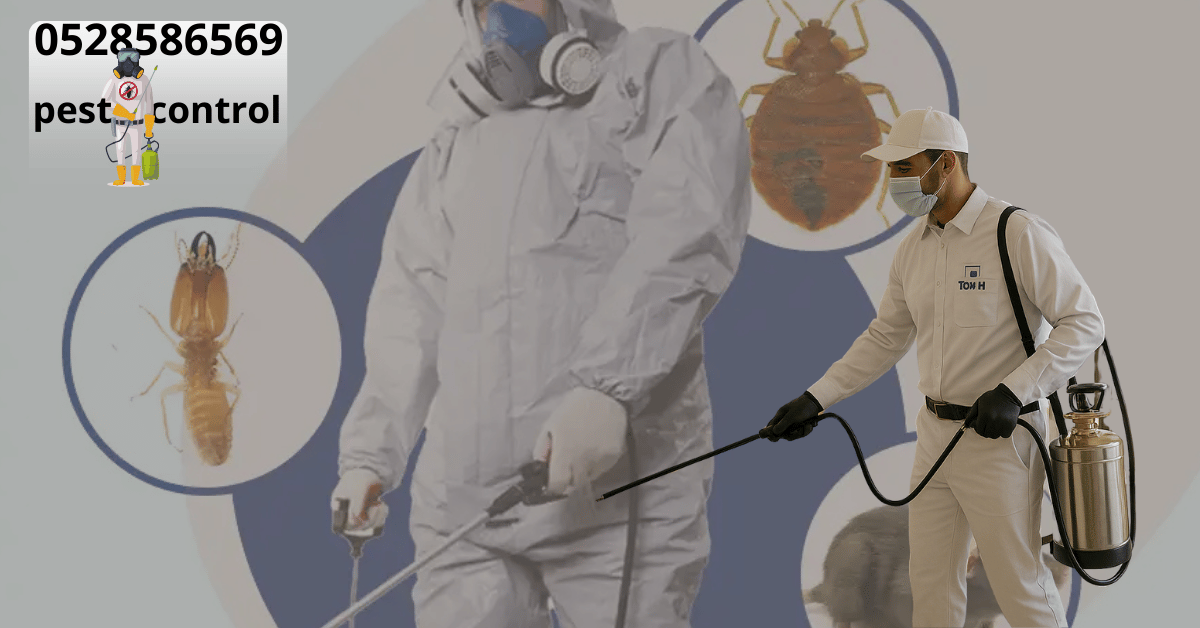 Pest Control Company Abu Dhabi