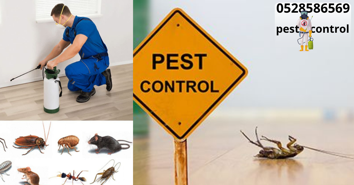 Pest Control Company Abu Dhabi