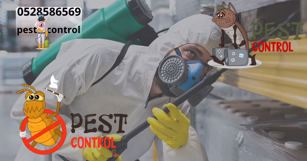 Pest Control Company Abu Dhabi