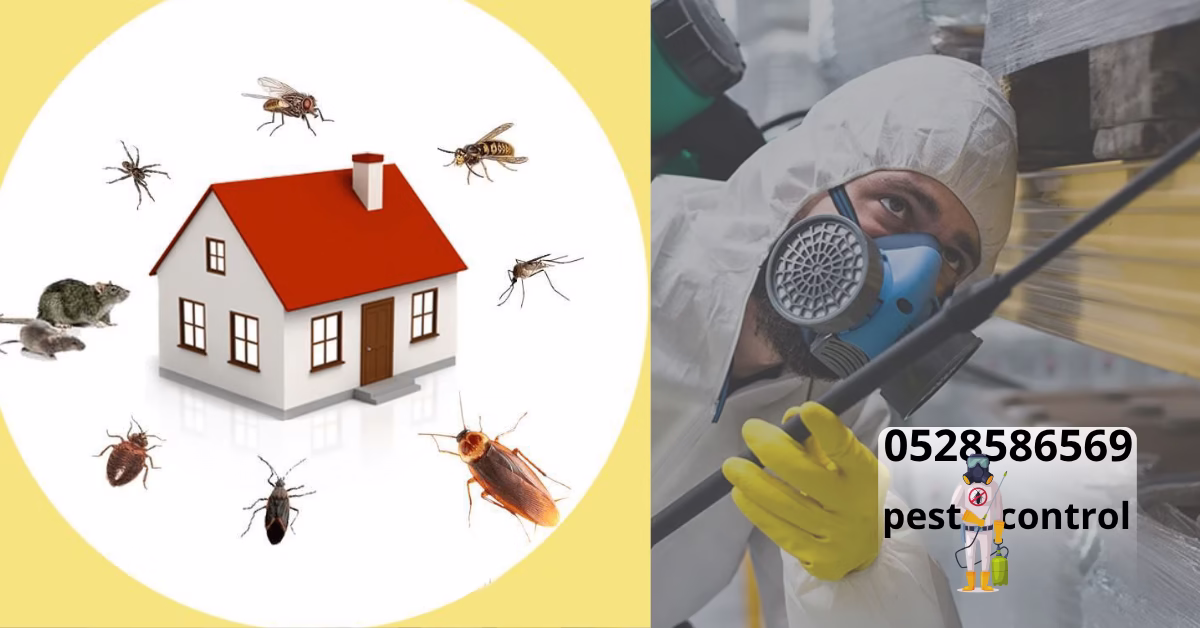 Pest Control Spray in Ajman