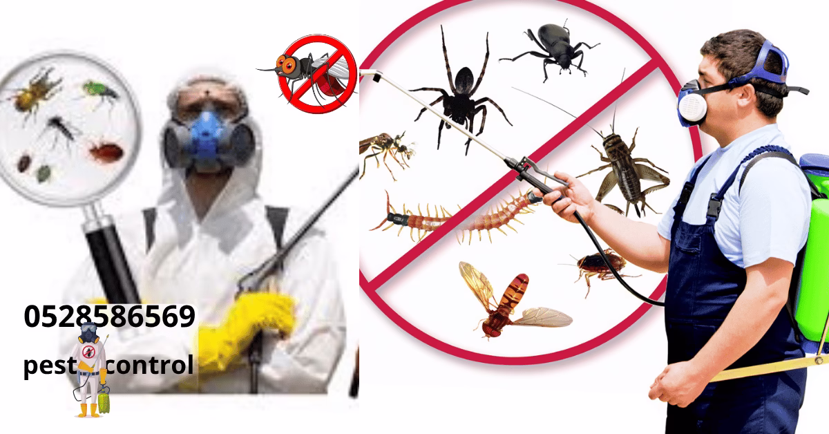 Pest Control Company Abu Dhabi