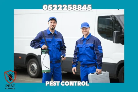 Cockroach Control in Sharjah