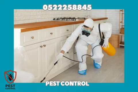 Cockroach Control in Sharjah