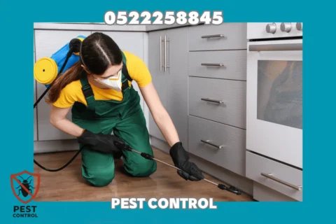 Cockroach Control in Sharjah