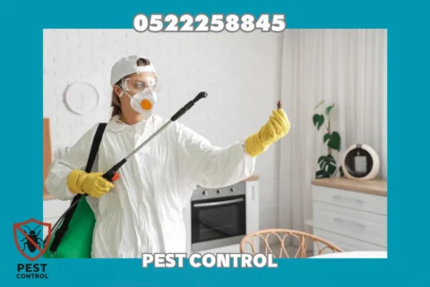 مكافحة صراصير في أبوظبي