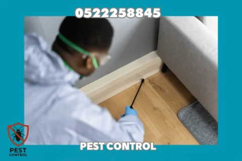 Cockroach Control in Abu Dhabi