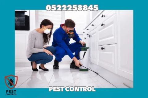 Cockroach Control
