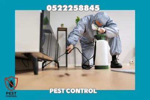 Cockroach Control in Ajman