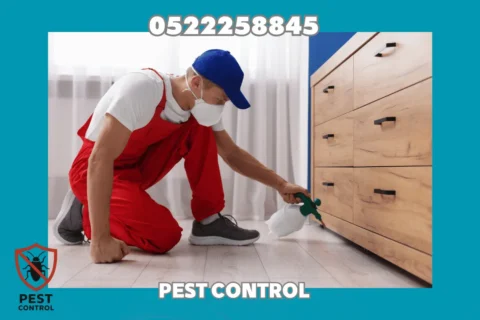 Cockroach Control in Ajman
