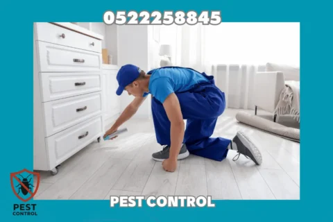 Cockroach Control in Ajman