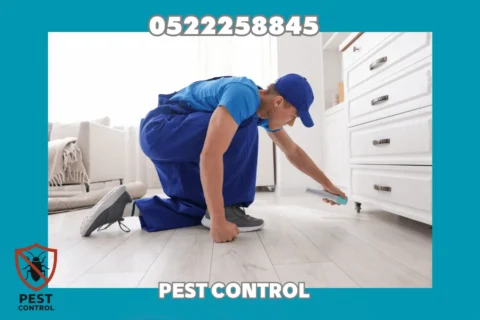 Cockroach Control in Ajman
