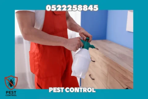 Cockroach Control in Sharjah